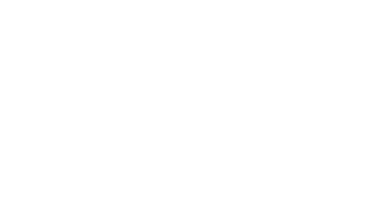 vedhidesigns