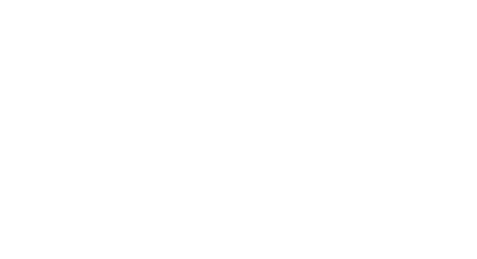 vedhidesigns